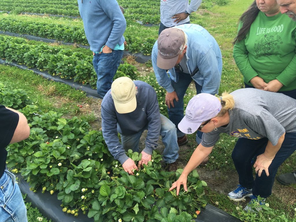 Farm School participants in the field