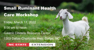 Cover photo for Small Ruminant Health Care Workshop