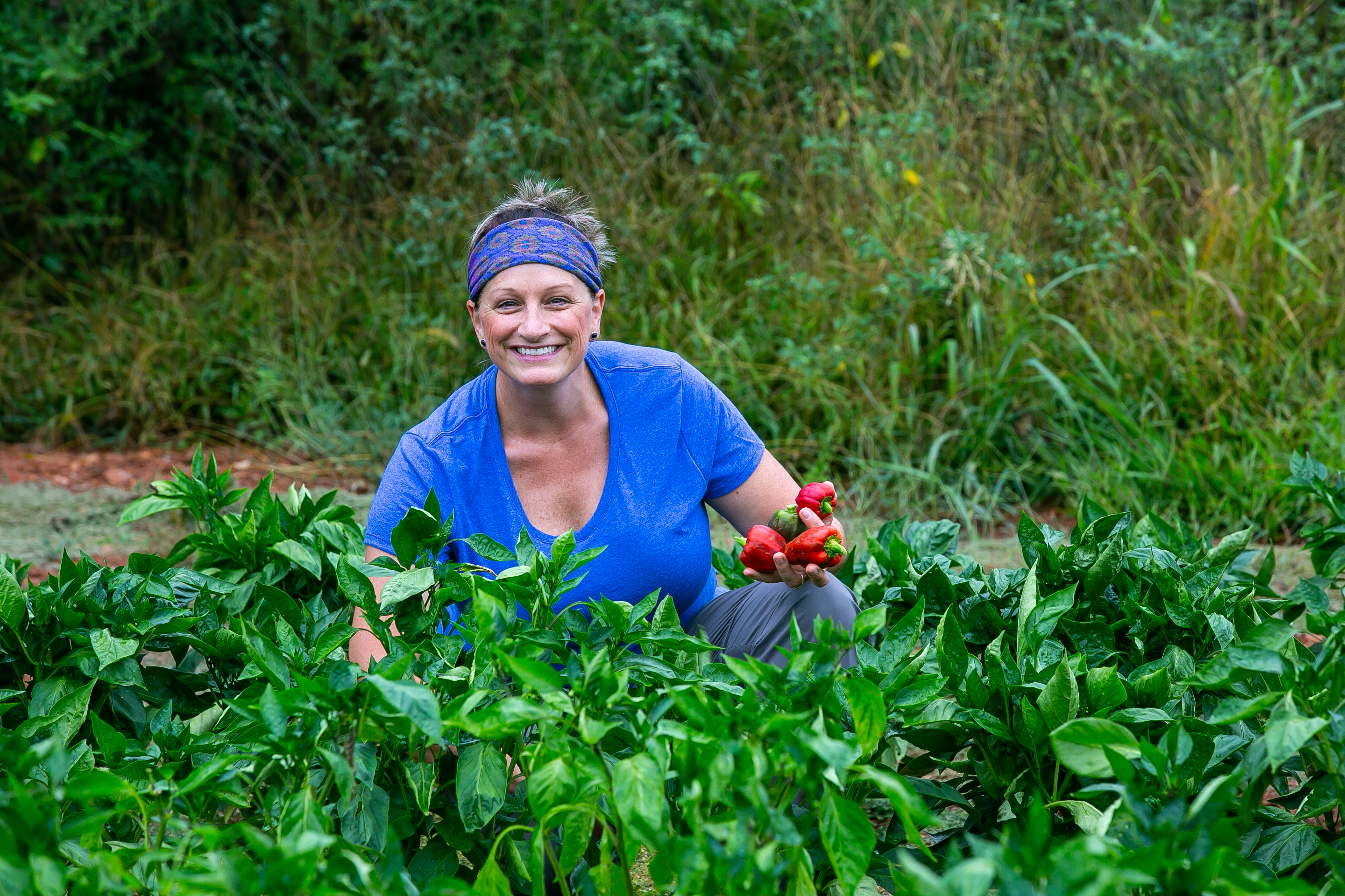 A woman harvests from a pepper garden.