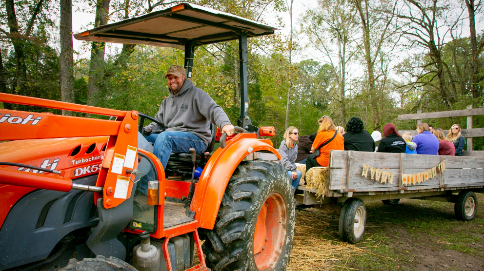 Man driving a tractor (hay ride) 