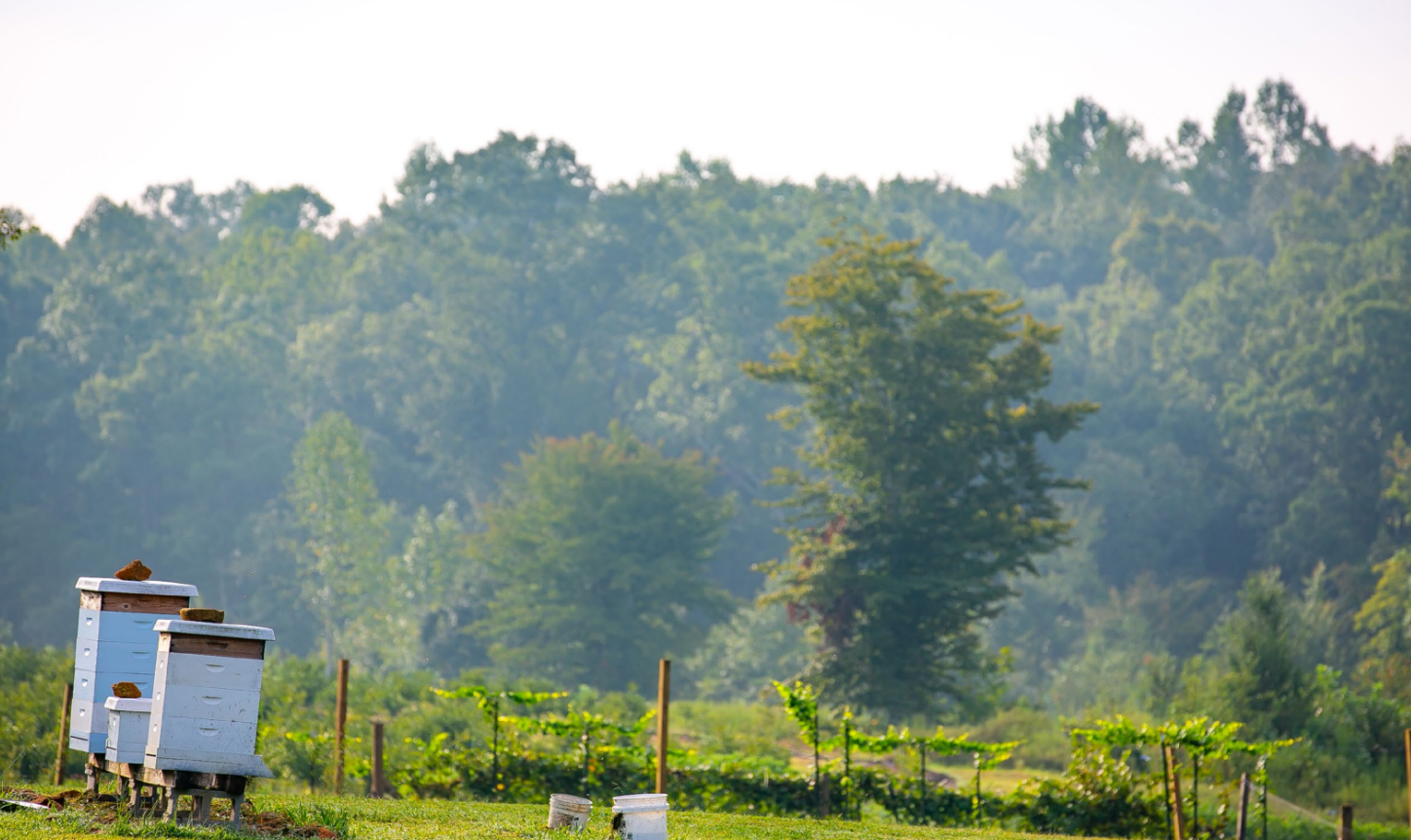 Landscape photo of farm