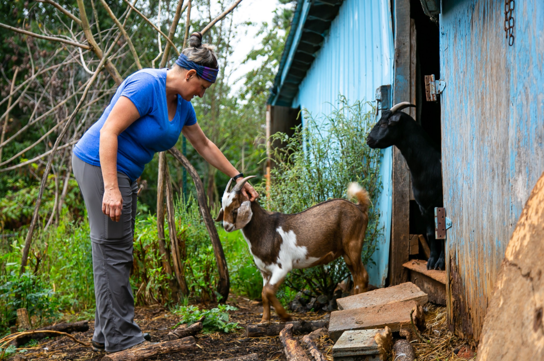 Woman petting goat on head