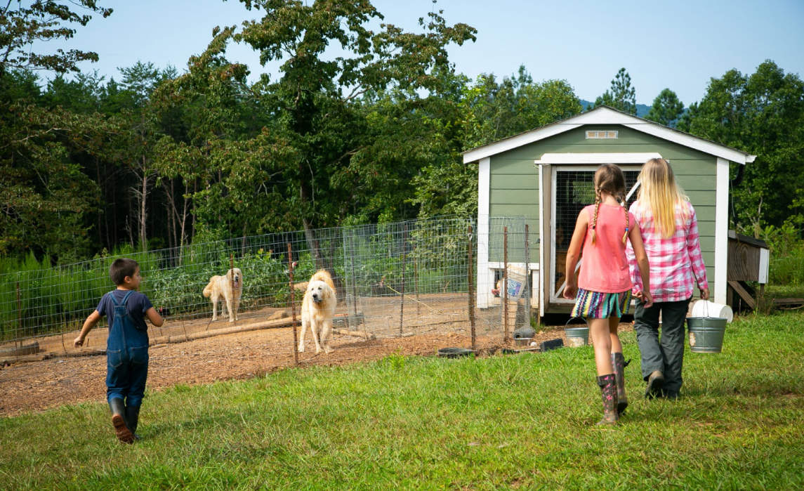 Woman and children walking to feed farm dogs 