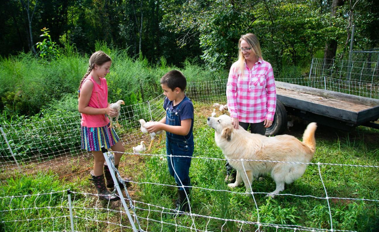 Woman and her children watching chickens with their farm dog 