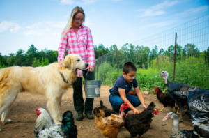 Cover photo for Farming as a Young Family