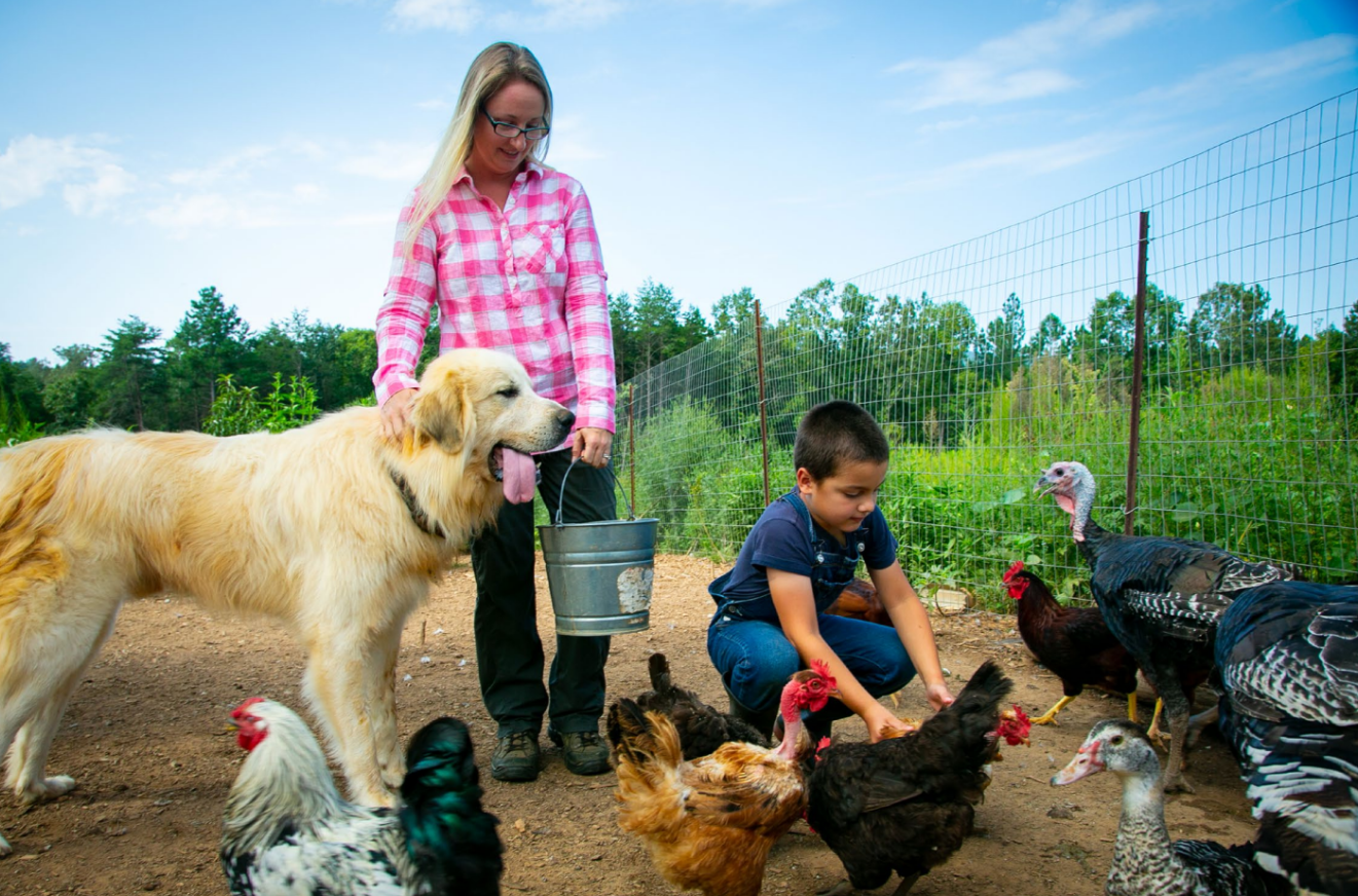 Mother and son feeding chickens along with their farm dog